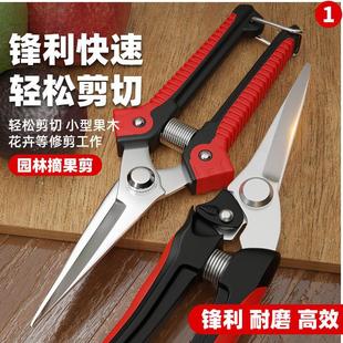 ���R�d���N��֦�����@ˇ��ժ��֦��@������ϣ�����ټ�֦���ü���