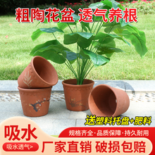 红陶花盆陶瓷粗陶吸水陶土草莓苗花盆多肉小号老式泥瓦盆浮雕新品