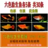 5 viviparous fish each in 6 colors, a total of 30 fish, free fish food