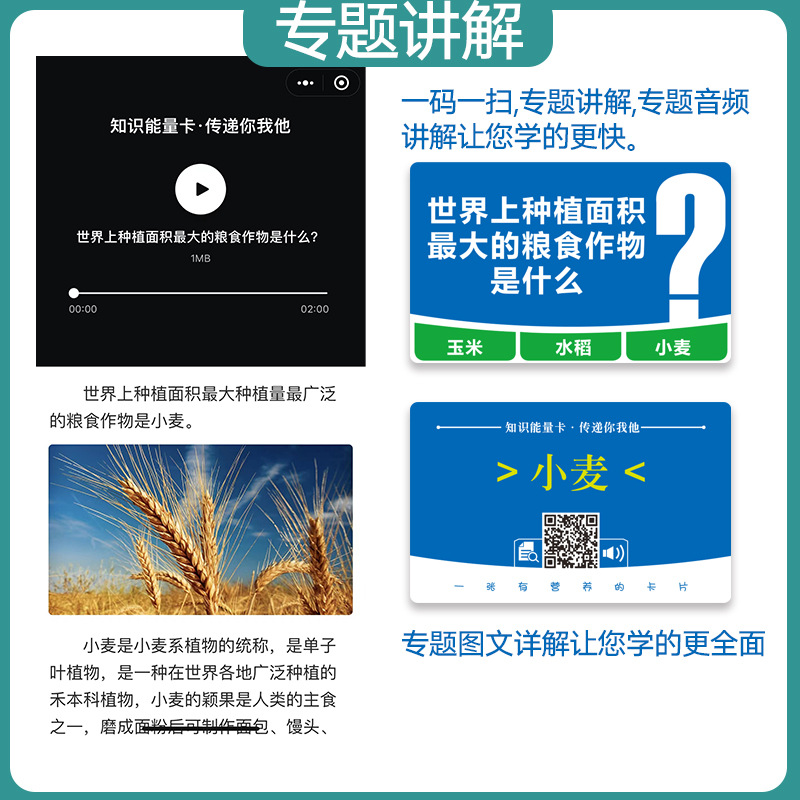 Knowledge Energy Card Encyclopedic Common Sense Fun Quiz Audio Visual Detailed Explanation Knowledge Awareness Card