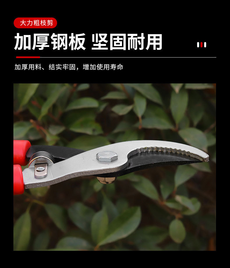 详情_10.jpg