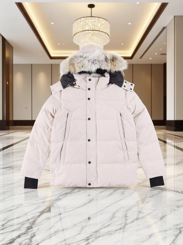 Big goose downjacket wyndham大鹅羽绒服29款冬季男3808M温德姆|undefined