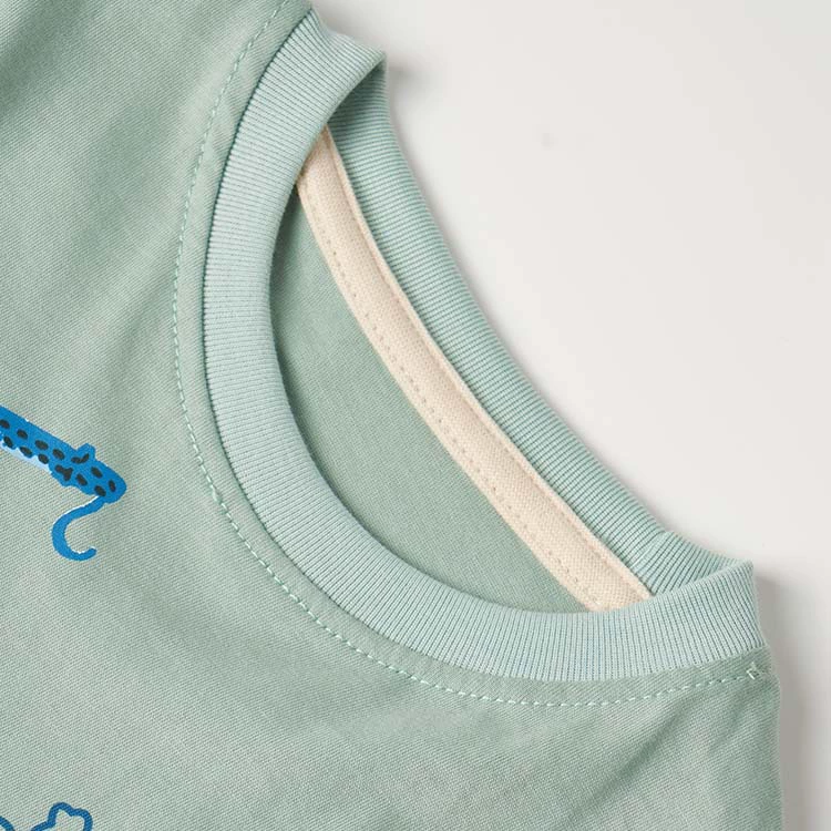 Summer children's set for boys, sleeves, T-shirt, shorts, 25 years, with short sleeve