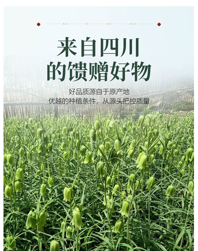 川贝母详情页_06