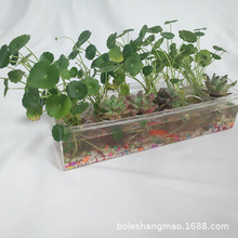 Ʒ ~׺辰΢^ˮֲӻƷ չʾ