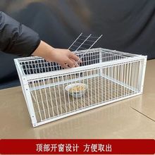 ײT\ ԄײT\jTTM\MTԄTӻ\