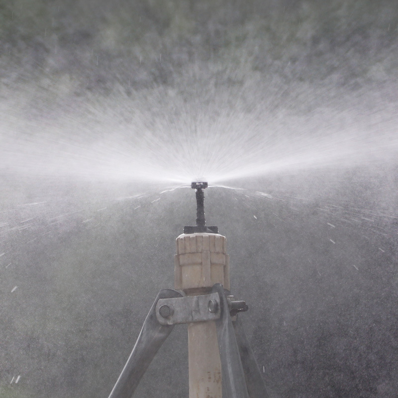 4 / 7 Single Hook Thread Goiter Precio unitario no incluye impuestos