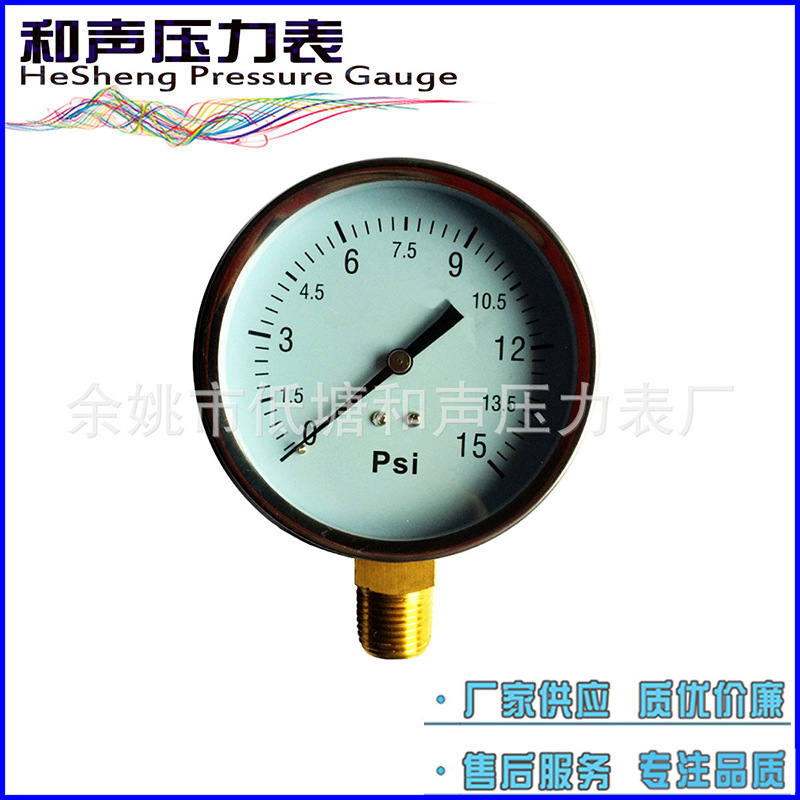 ���ҹ�Ӧ������ͨѹ����Y100������15PSIѹ��������ѹ����