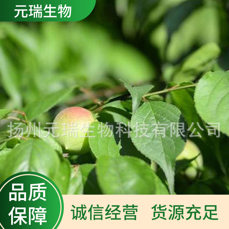 元瑞厂家供应植物提取液桃树叶萃取液淡黄色透明液体