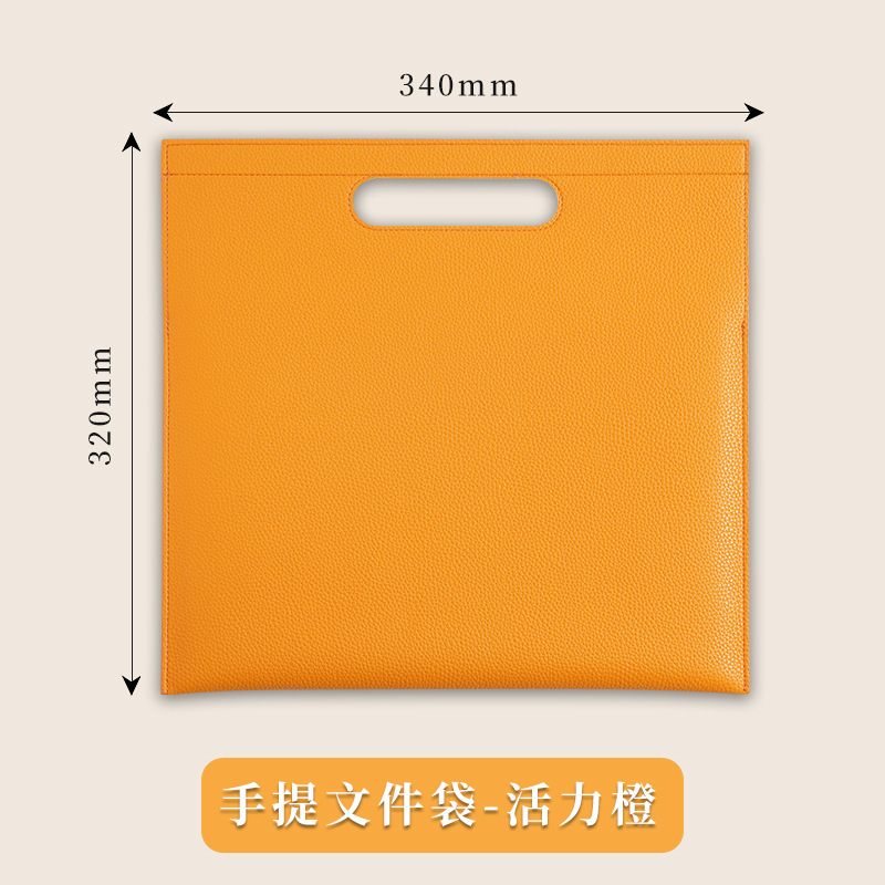 A4 portable de oficina bolsa de archivo bolsa de archivo bolsa de archivo bolsa de archivo bolsa portátil bolsa de archivo personalizada al por mayor