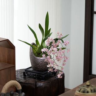 ��֧�� ��ɫ���������m�����������҃Ȼ��ܾGֲ���B�׻�͏d����