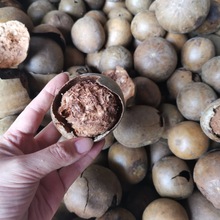 �_�h���ƹ�Óˮ��� �V���خa�����F؛ɢ�b��ș���_�h������ɹ�