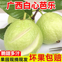 �V�����Ͱ��İŘ�ܛ��ܛŴ���r�ЋDˮ����ʯ��Ӳ�����uʺ�����l