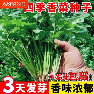 ����ѷN���ļ��͟�С�~��˷N����Ʒ�N���~��˷N��ܾݴ�N������