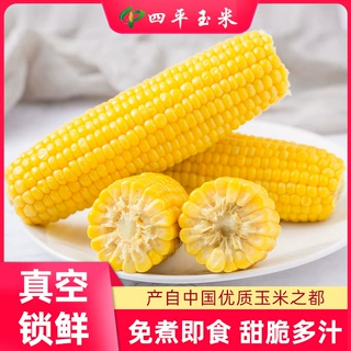 晟然水果甜玉米8根 真空包装免煮开袋即食非转基因水果玉米棒