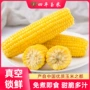 真空非转基因包装水果玉米棒