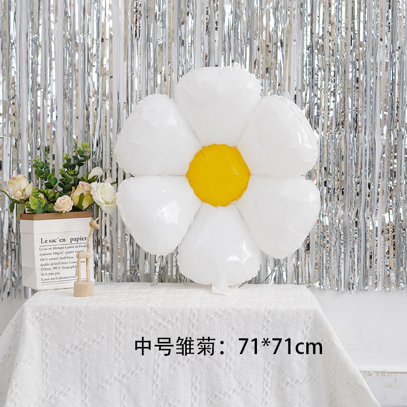 中号雏菊.jpg