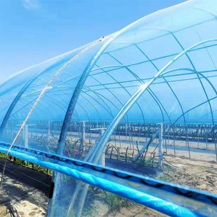 Factory thickened greenhouse film 8 to 15 silk greenhouse film pofilm agricultural plastic film vegetable greenhouse film