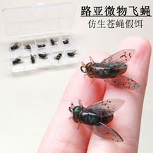 ·�������nωܛ�D�wω�h10ö���b΢��חl�R���N���_���|�~�ȼ��D