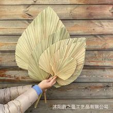 �����ؙ��~�ѿ��~�ɻ�֦�����~�ɽY��c�Y�����b廨ˇ���l