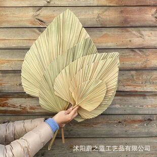 Pu Fan Palm Leaves Pu Sunflower Leaves Dried Branches Pu Fan Leaves Dried Wedding Ceremony Window Decoration Flower Insert Wholesale