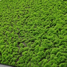 �Gֲ��̦�\��̦��Ƥ΢���^�辰ֲ���쾰�b���ܛ�b�����Ƥ