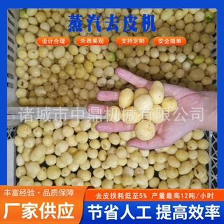 中鼎薯条薯片薯泥加工设备锅巴土豆狼牙土豆地摊夜市爆品蒸汽去皮