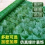 仿真庭院植物墙面篱笆