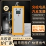 电加热电热自动蒸汽发生器