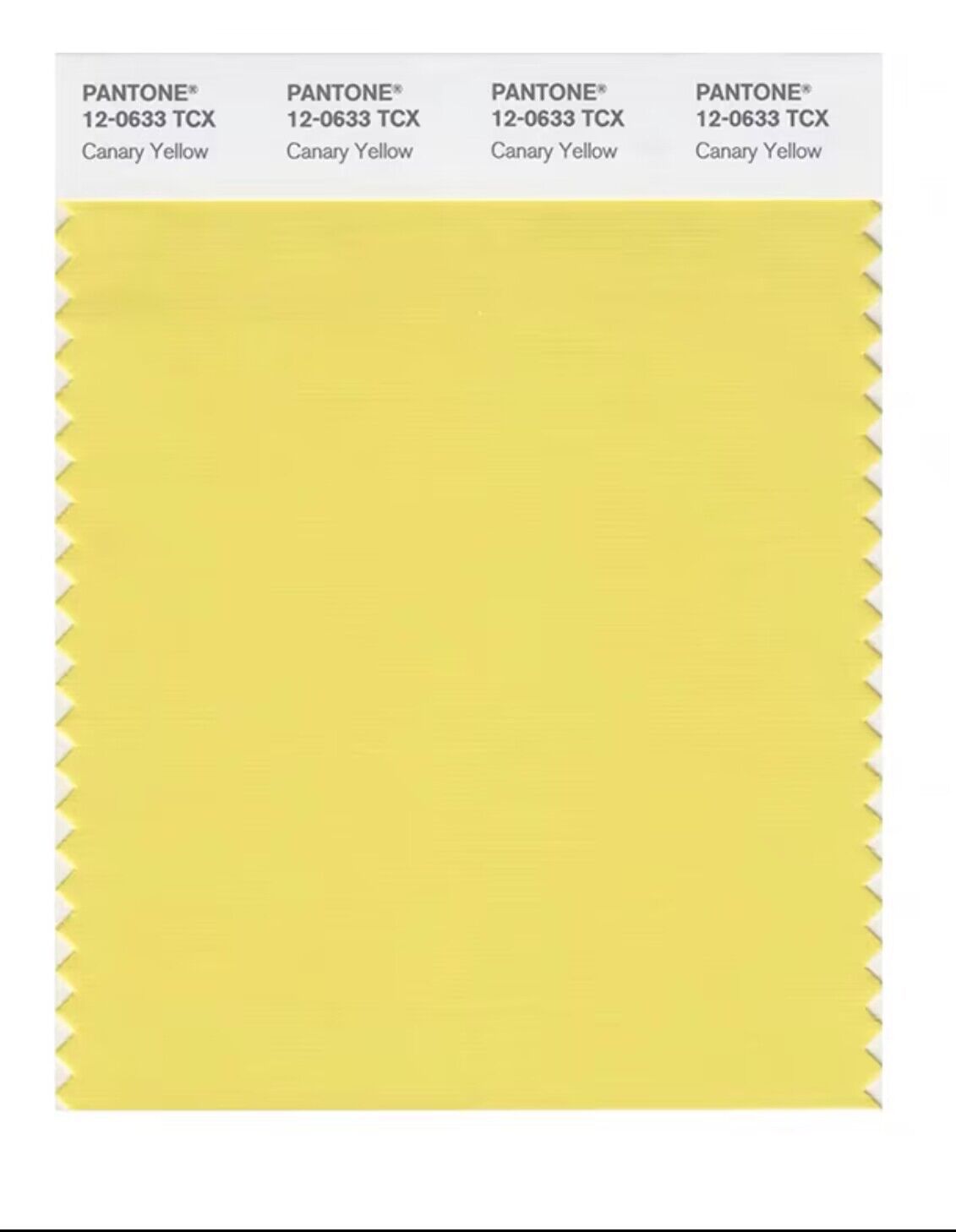 PANTONE棉布色卡单张TCX色卡服装家居棉布色卡单张