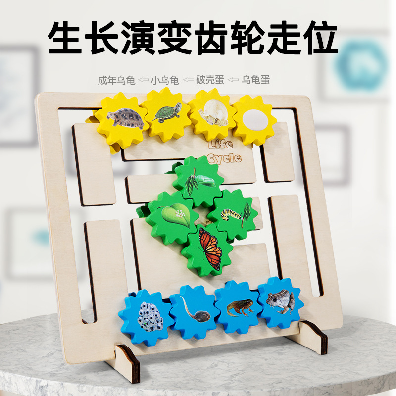 Selección estricta de la evolución del ciclo de crecimiento de la vida, posición de engranajes, juguetes cognitivos de animales, jardín de infantes, ayudas didácticas científicas Montessori