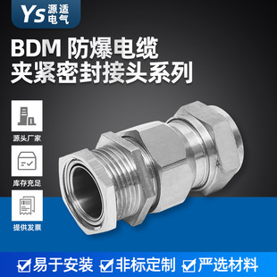 ���P䓷������Ϻ� BDM������|�A�o�ܷ���^ �z�b������|���^