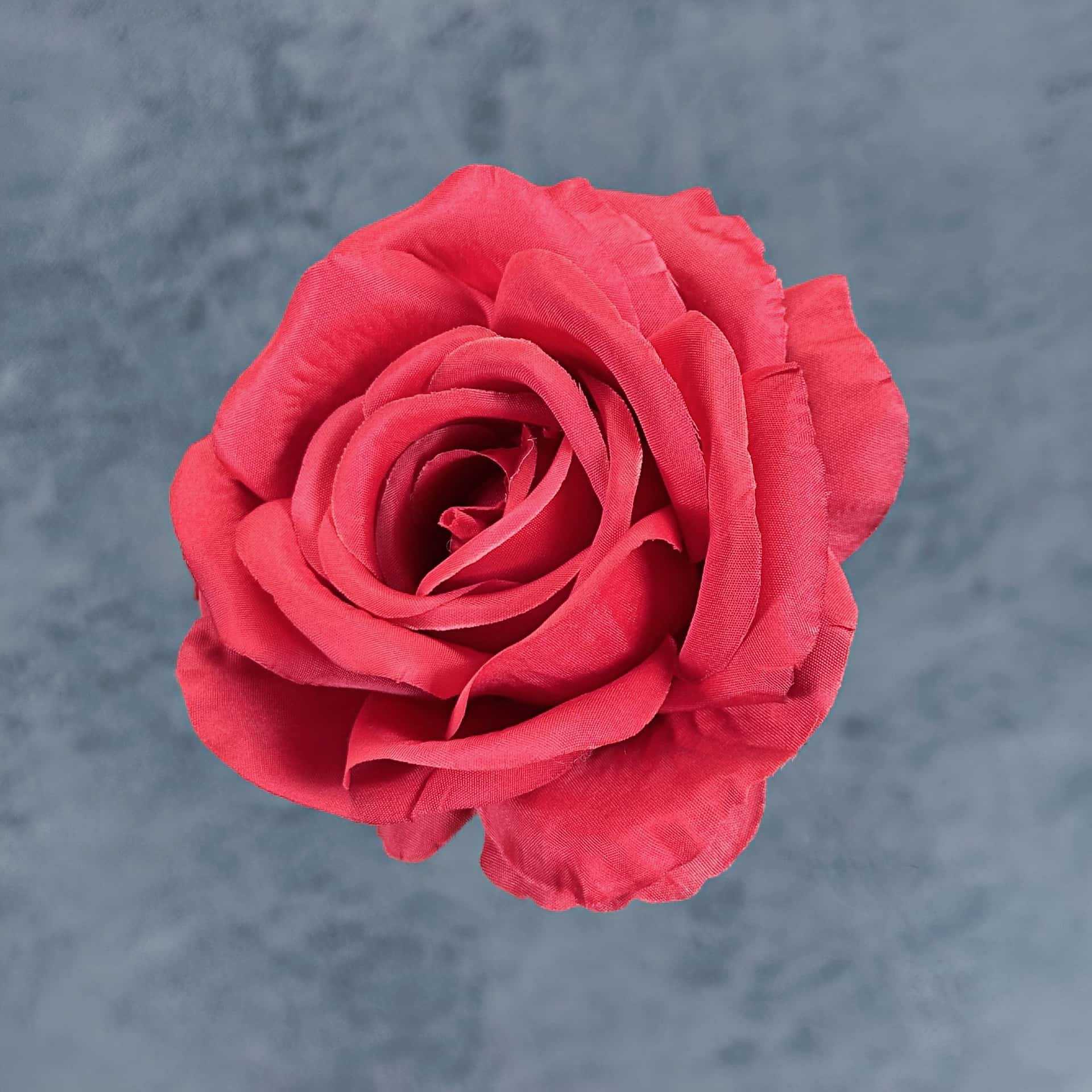 Franela artificial flor Rosa cabeza ramillete rojo boda flor pared tiro apoyos flor artificial arco flor artificial al por mayor