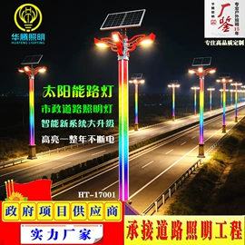 道路照明灯;景观灯;太阳能灯