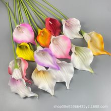 �ָ����������滨��������ò廨�߼��п����ҾӲ����ڼ���������