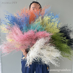 【永生夢幻草】永生花乾花花材羽毛草竜須草漂白漂色夢幻草柔糸