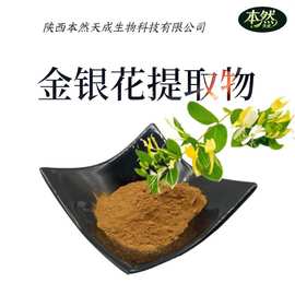 金银花绿原酸5%-98%水溶性金银花提取物20：1现货包邮金银花粉