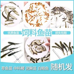 �㽭�����Ե�С�~��ι��������~���~ʳ���~�����~���~���~�����~