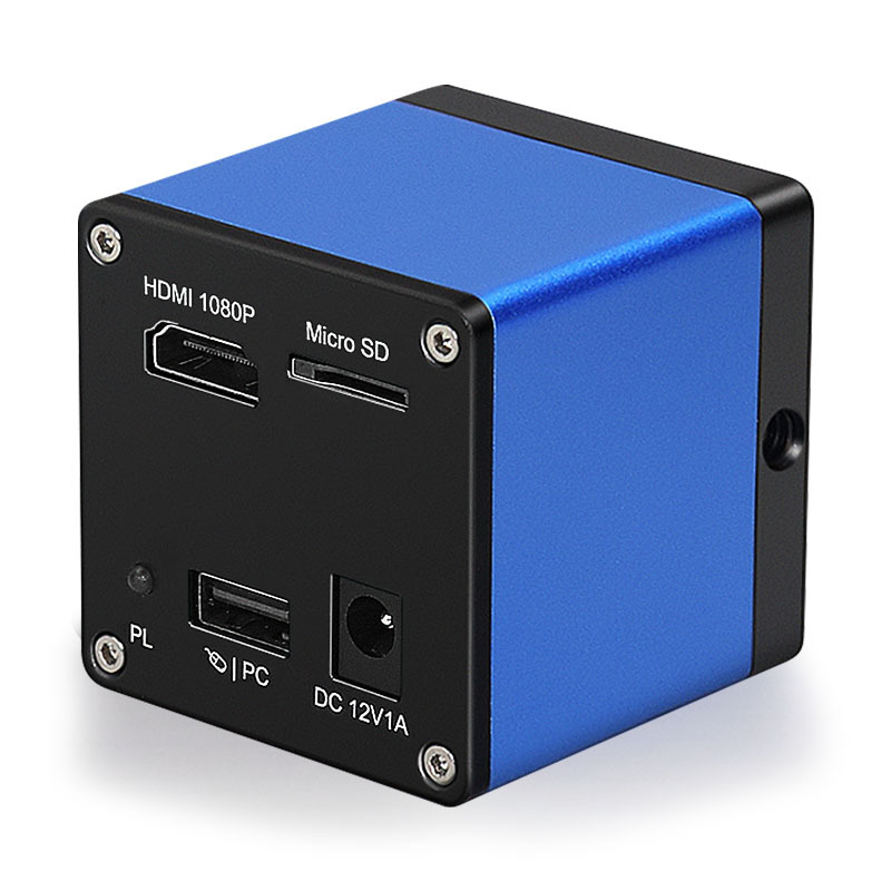 未标题-1画板 6.jpg