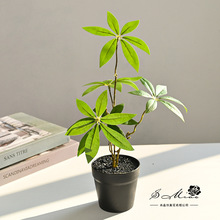 ������X�~�辰�k������r�Є����҃��b�С�[���Gֲ�������Լٻ�