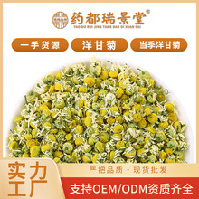 厂家批发洋甘菊新货源头德国洋甘菊花瓣沫干花散装500g养生花草茶