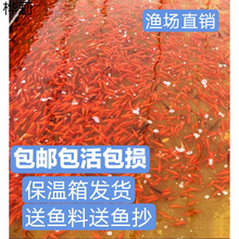 ���~�^�p�~��ˮ�\��С���~���~�J���~����~���]