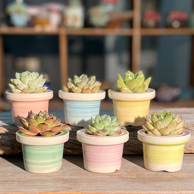 Fleshy Flower Pot Ceramic Glass Ice Cracking Hat Brim Hand-painted Graffiti Coarse Simple small size Control Mini Thumb Pot Fleshy Flower Pot Ceramic Glass Ice Cracking Hat Brim Hand-painted Graffiti Coarse Simple small size Control Mini Thumb Pot