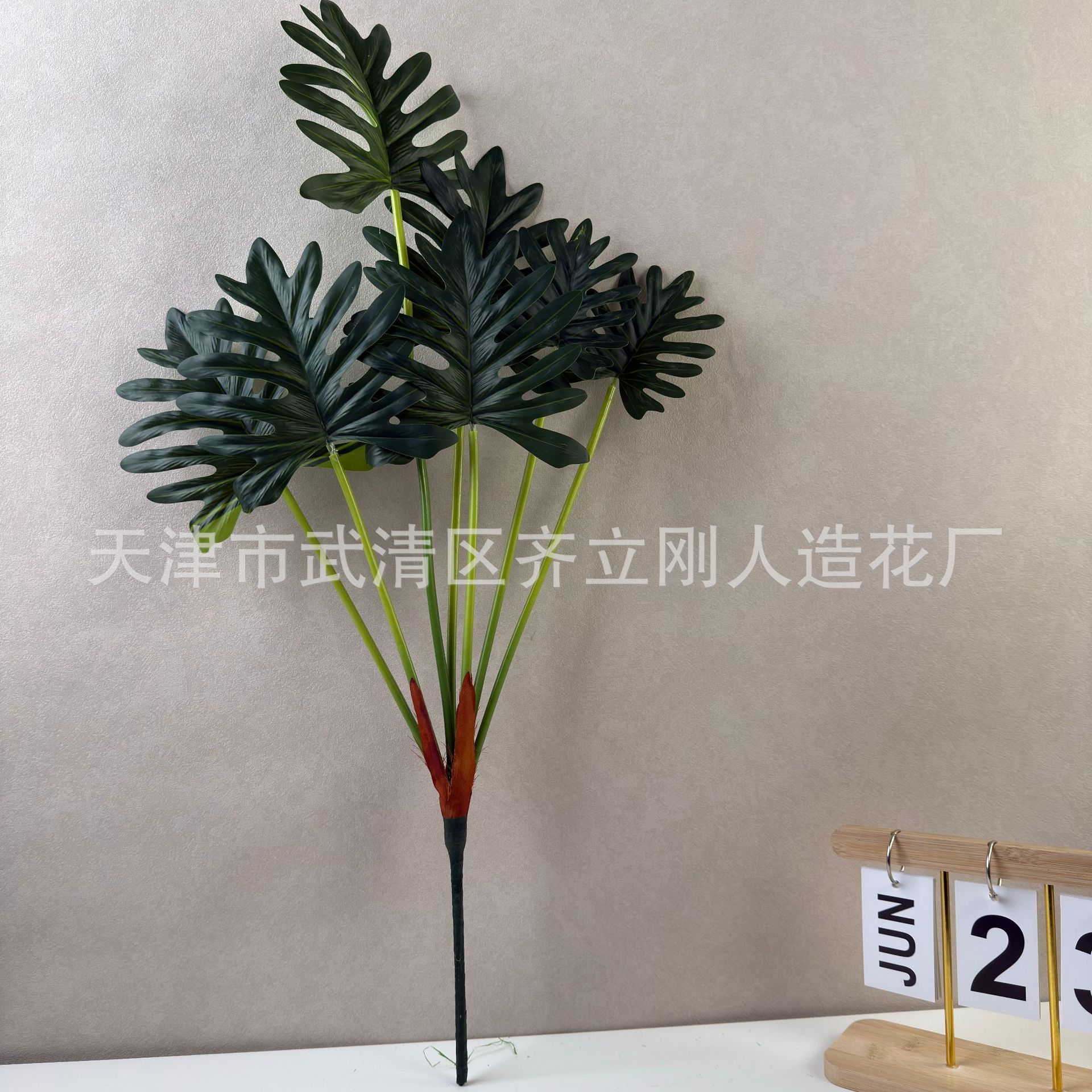 봄 토란 잎