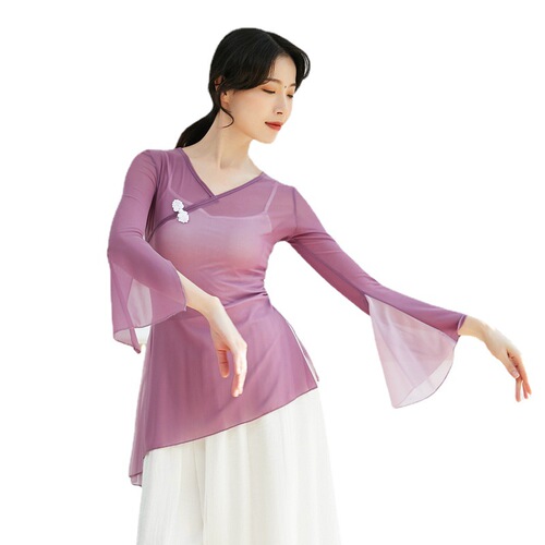 Classical dance ethnic modern body dance performance clothes Chinese dance practice clothes color matching tops women's art test gauze clothes