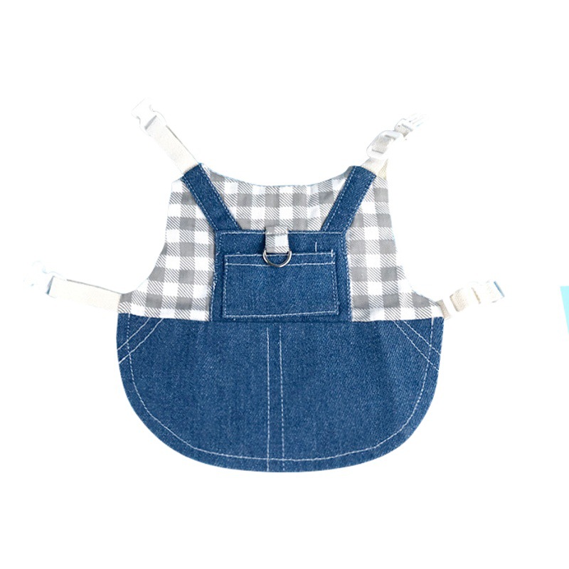 Conejo mascota, conejillo de indias, ropa de conejo de orejas llorones, accesorios, conejo enano, conejo joven, ropa de mezclilla, cuerda de remolque, conejo