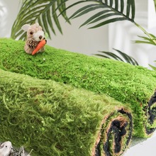 仿真苔藓微景观草坪花园盆栽软装装饰草皮假绿植