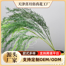 ����Gֲ��횲�ɭϵ��Y����ţ���T���T�쾰�Gֲ������횲ݼٻ�