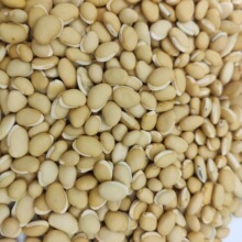 �ױⶹ ��ș�����l�s�Z ���ⶹ �x�� ���x�� �ϱⶹ