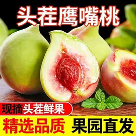 速冻中式面点;传统糕点;肉丸饺类
